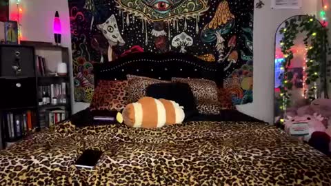 Puddin online show from 01/24/25, 05:53