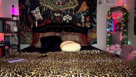 Puddin online show from 02/23/25, 12:37