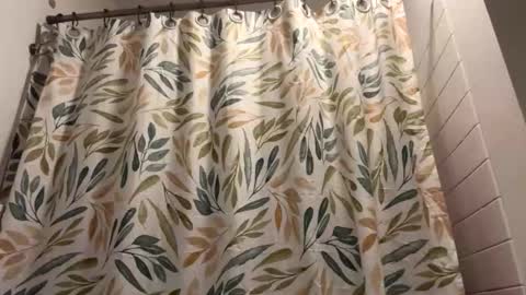 boysetsfire34 online show from 03/13/26, 05:58