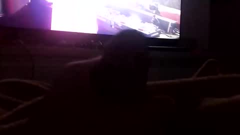 Snapshot of boytop696 chatting on 10/12/25, 03:05 Boytop online show from 10/12/25, 03:05