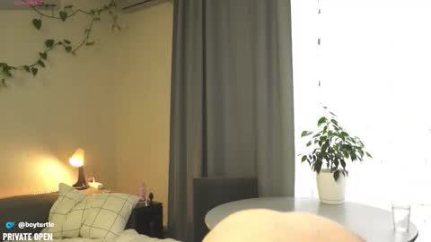 Snapshot of boyturtle chatting on 11/05/25, 10:04 BoyTurtle online show from 11/05/25, 10:04