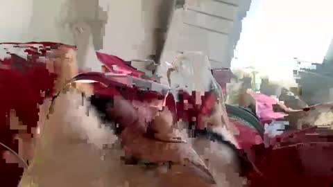 Snapshot of brad2518181 chatting on 02/21/25, 06:26 brad2518181 online show from 02/21/25, 06:26