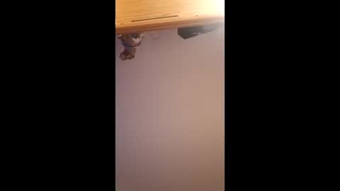 brandon281997 online show from 04/01/26, 12:06