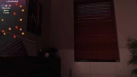 brandon_starkk online show from 02/23/26, 11:51