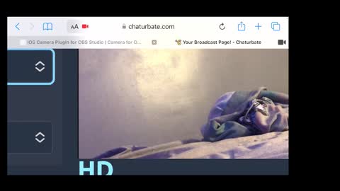 Snapshot of braylensaurex chatting on 11/20/25, 02:34 MANTE online show from 11/20/25, 02:34