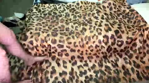 Breezy Xo online show from 11/27/25, 02:35