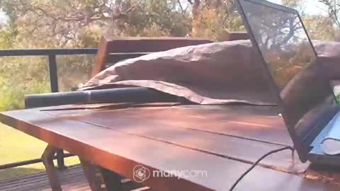 Fun Monster online show from 10/10/25, 01:15