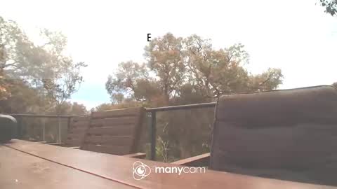 Fun Monster online show from 10/16/25, 02:01