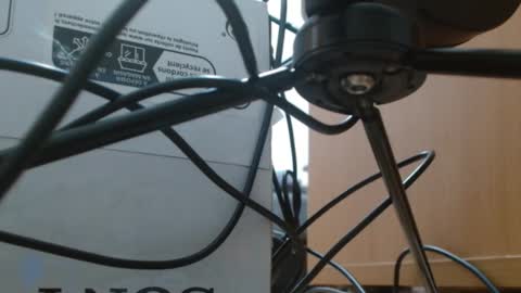Snapshot of brigittebia777 chatting on 10/10/25, 03:38 brigittebia777 online show from 10/10/25, 03:38