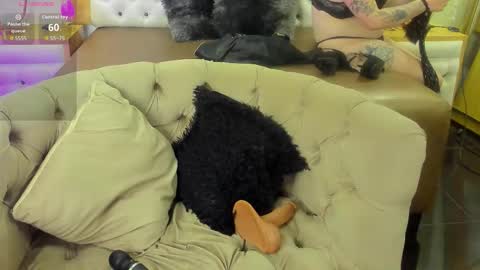 brithani online show from 11/19/25, 08:31