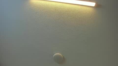 Brittany  online show from 02/08/26, 08:45