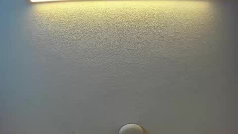 Brittany  online show from 06/01/26, 07:59