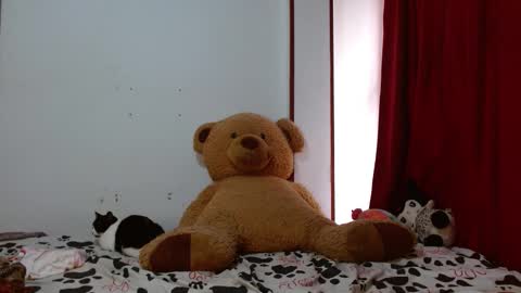 Snapshot of brittany_bubbles chatting on 11/12/25, 03:01 maru miaw Please help me to reach 100 thumbs up online show from 11/12/25, 03:01