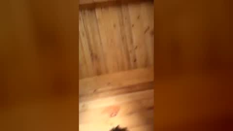 bbc online show from 01/16/26, 11:25