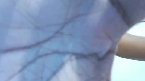 brownguy2505 online show from 01/19/26, 12:53