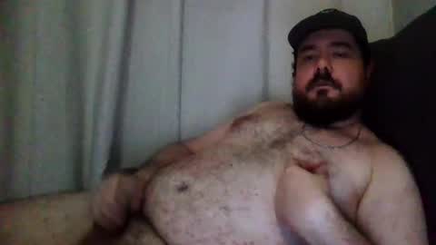 Snapshot of brunotully chatting on 02/18/25, 04:48 Geek Bear online show from 02/18/25, 04:48