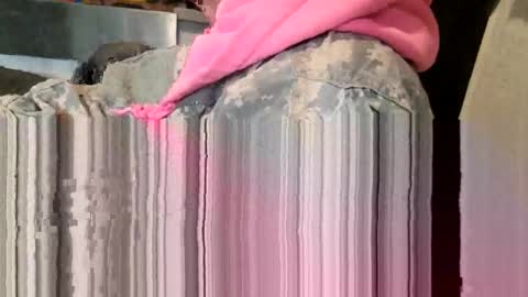 Steve... aka SkinnieDippin aka TimberTramp online show from 03/11/26, 08:59