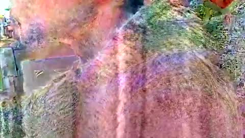 Steve... aka SkinnieDippin aka TimberTramp online show from 04/02/26, 04:59