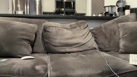 brwm2013 online show from 01/12/25, 03:07