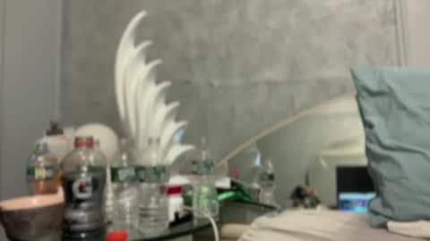 Snapshot of bubbahumps chatting on 01/12/25, 07:42 bubbahumps online show from 01/12/25, 07:42