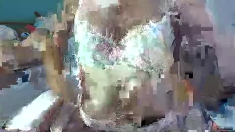 NabiBubbles online show from 10/13/25, 02:33