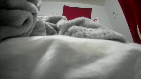 Snapshot of budsonly33 chatting on 12/12/24, 07:52 budsonly33 online show from 12/12/24, 07:52