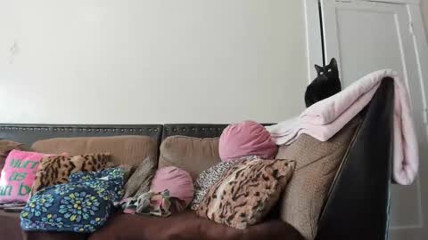 Buffy online show from 12/02/24, 06:32