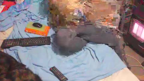 Snapshot of bufu21 chatting on 02/02/25, 09:56 bufu21 online show from 02/02/25, 09:56