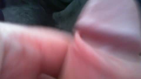 bullemoe online show from 02/07/26, 12:42