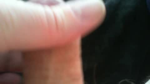 bullemoe online show from 04/07/26, 11:54