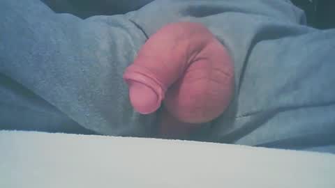 Dutch cock online show from 01/11/25, 08:33