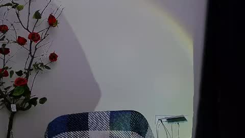 Ariel online show from 04/28/26, 08:03
