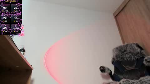 Snapshot of bunnyblush18 chatting on 10/25/25, 02:24 Sammy online show from 10/25/25, 02:24