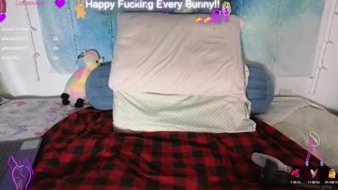 Snapshot of bunnycheekz chatting on 01/28/25, 02:00 Tokki  bunny  online show from 01/28/25, 02:00