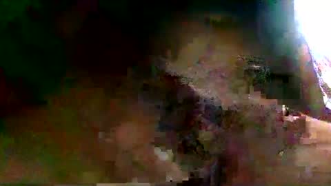 Snapshot of burro3000 chatting on 12/13/24, 04:43 burro3000 online show from 12/13/24, 04:43