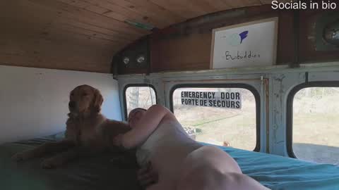 busbuddies online show from 12/16/24, 03:54