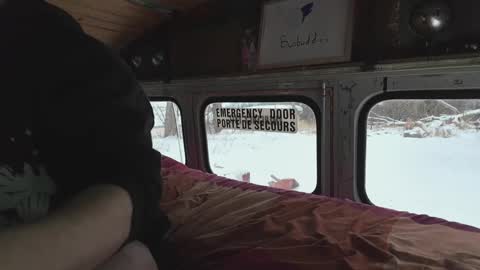 busbuddies online show from 12/29/24, 04:19