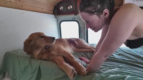 busbuddies online show from 02/02/25, 04:54