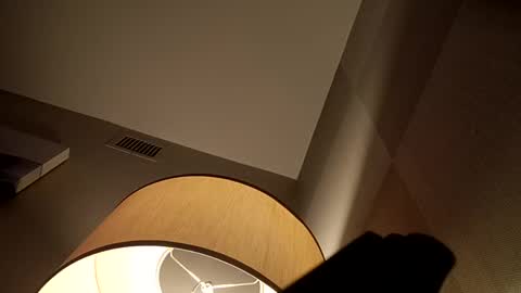 bushdoctor1 online show from 12/02/24, 06:09