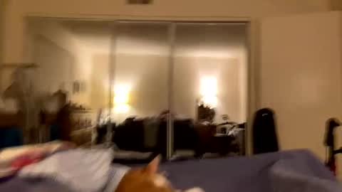 Snapshot of busty_2008 chatting on 02/24/26, 03:04 busty_2008 online show from 02/24/26, 03:04