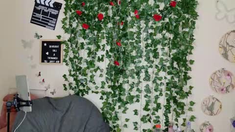 Snapshot of butterflybootyy chatting on 11/01/25, 02:19 butterfly booty online show from 11/01/25, 02:19