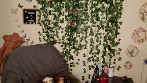 Snapshot of butterflybootyy chatting on 11/03/25, 05:09 butterfly booty online show from 11/03/25, 05:09