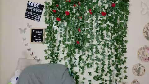 Snapshot of butterflybootyy chatting on 11/30/25, 09:52 butterfly booty online show from 11/30/25, 09:52