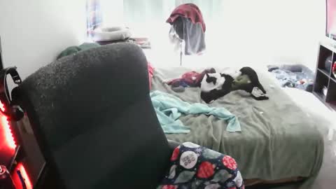 bxbydior online show from 12/13/25, 07:53