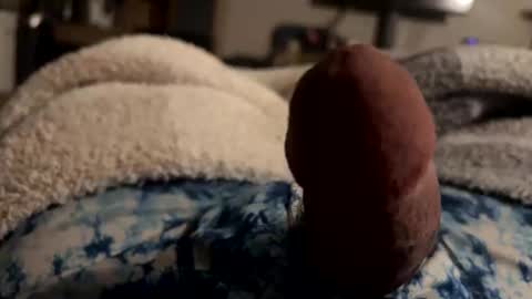 byrdbean online show from 01/17/26, 07:46