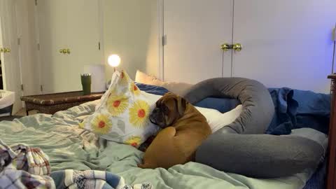 c2cmee online show from 03/09/26, 04:38