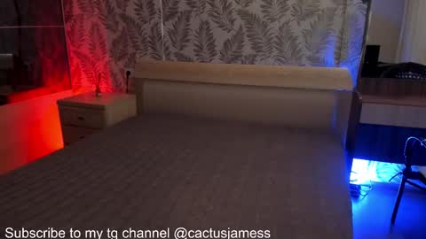 Snapshot of cactusjames_69 chatting on 10/23/25, 03:00 James online show from 10/23/25, 03:00
