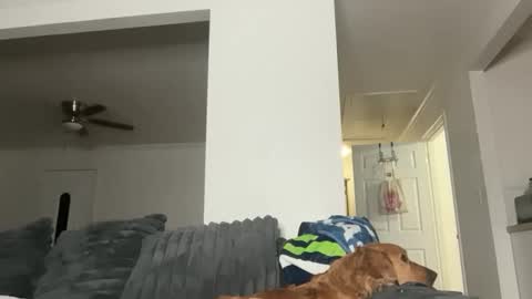 CaliCreamDaddy online show from 05/25/26, 02:28