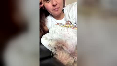 Snapshot of calishop1 chatting on 03/12/26, 11:22 calishop1 online show from 03/12/26, 11:22