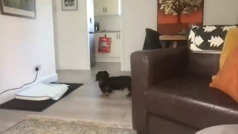 Snapshot of camdoattitude chatting on 09/23/25, 11:46 CamDoAttitude online show from 09/23/25, 11:46